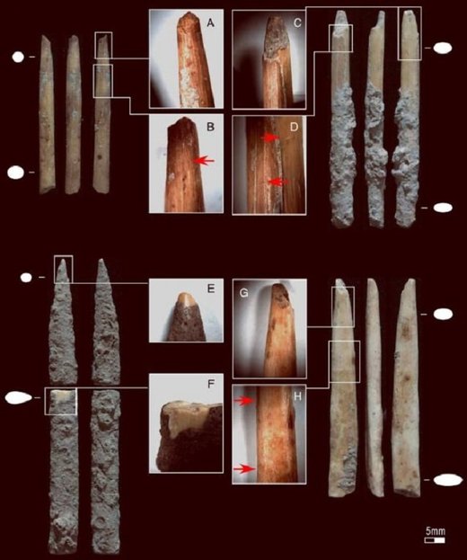 U pećini u Zanzibaru pronađene kosti sugeriraju da su drevni lovci koristili otrovne strele 