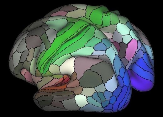 Mapa ljudskog mozga