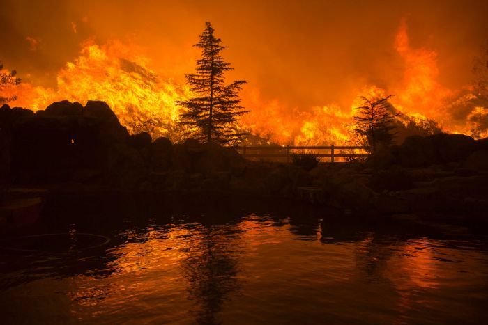 Šumski požar kod Los Anđelesa van kontrole: Izgorjelo 18 kuća, vatra guta površinu od 132 kvadratna kilometra