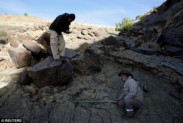 Otisak dinosaurusa prečnika preko jednog metra pronađen u Boliviji