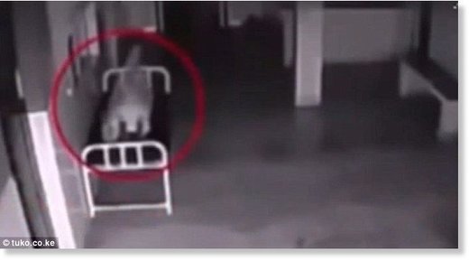 Bolničke sigurnosne kamere u Kini snimile neobičan prizor nakon smrti žene