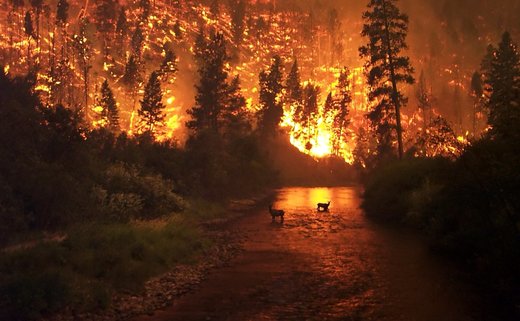 Divlji požari u sedam zapadnih američkih država