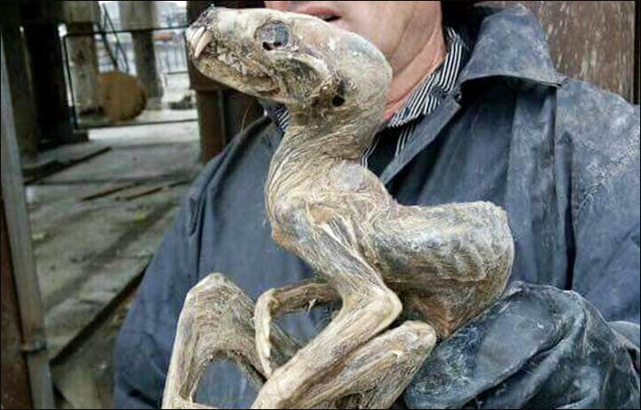 Mumificirani ostaci čudnog bića pronađeni u Sibiru