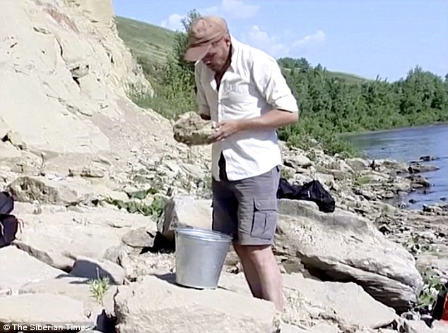 U Sibiru ruski naučnici otkrili novu vrstu dinosaura
