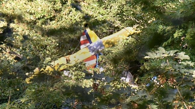 Njemačka: Ultralaki avion srušio se na stablo, pilot spašen