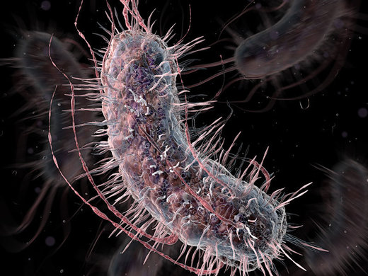Stvaranje umjetnog života: Znanstvenici izveli izmjenu gena bakterije