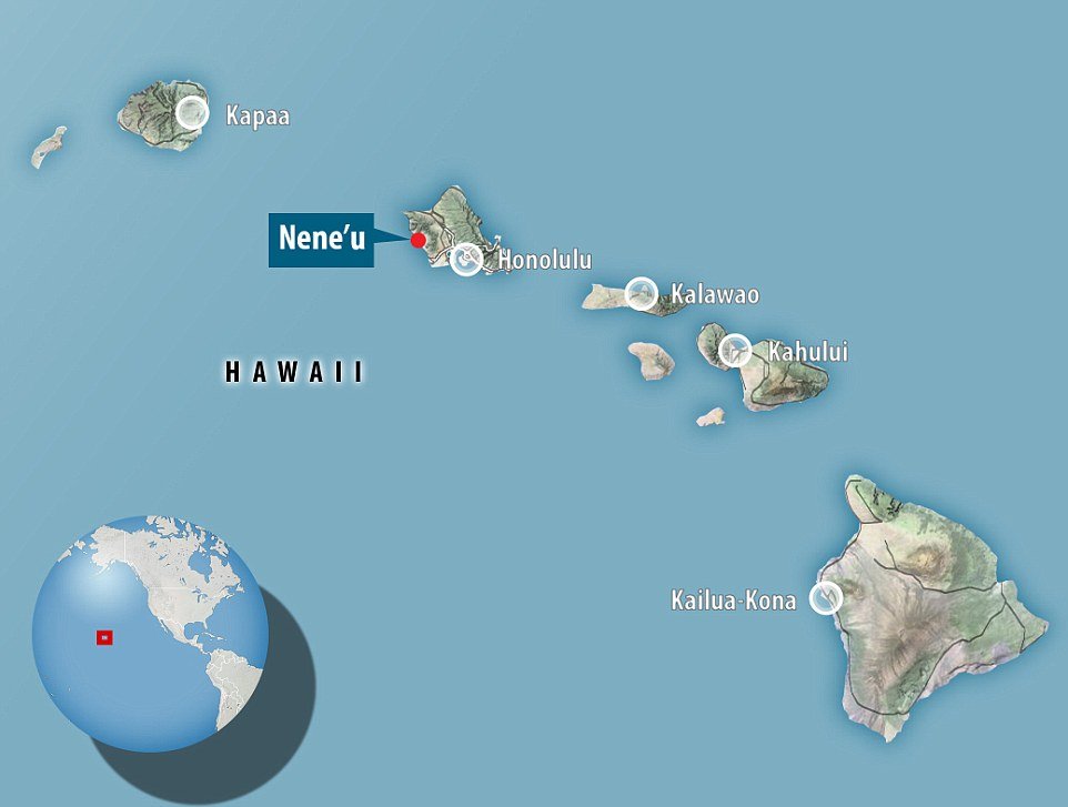 Na plaži havajskog ostrva otkriveno 10 petroglifa urezanih u kamenu starih preko 400 godina