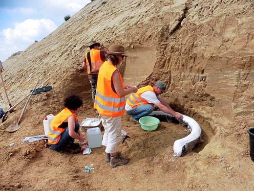 Ostaci mamuta otkriveni u Beču