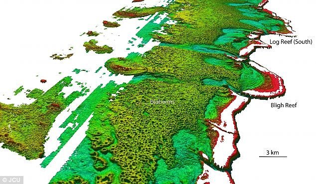 Naučnici pronašli veliki koralni greben ispod australske atrakcije Velikog koralnog grebena