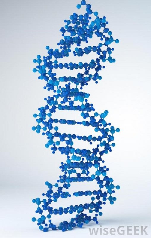 DNK sperme se vremenom oštećuje: Biološki sat kod muškarca već sa 35 godina, stoji u novim istraživanjima