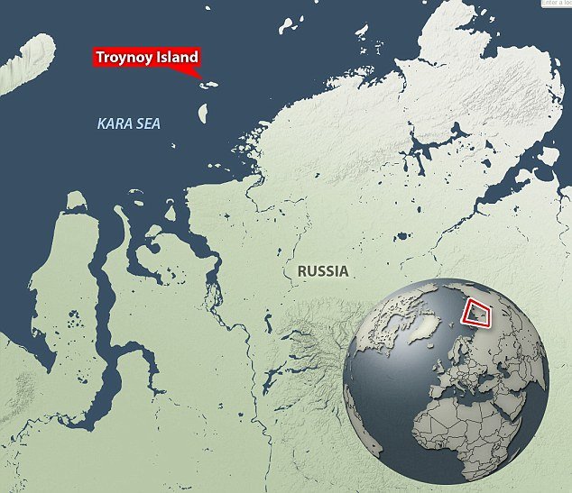 Ruski znanstvenici zarobljeni od polarnih medvjeda na Arktiku