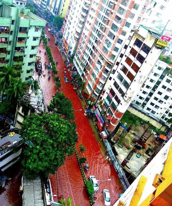 Šokantne slike iz Bangladeša: Rijeke krvi u glavnom gradu zbog masovnog žrtvovanja životinja