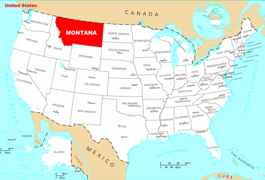 Na jugoistoku američke savezne države Montana u padu manjeg aviona poginule 3 osobe