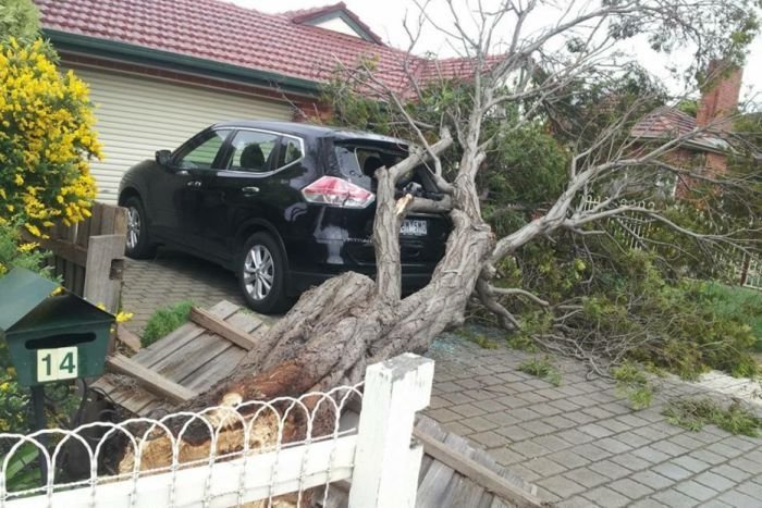 Olujni vjetar u Australiji usmrtio 1 osobu, a povrijedio najmanje 6 osoba