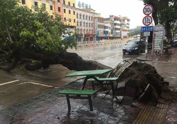 Jug Kine pogodio tajfun Haima: 80.000 osoba evakuirano, oštećeni riječni nasipi i brane