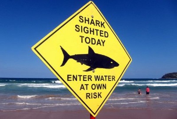 Shark attacks Australian surfer in third such incident in a month