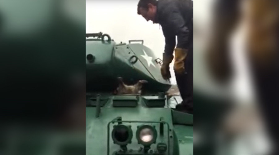 Zalogaj previše: Vojnici spasili debelog rakuna zaglavljenog u otvoru na tenku