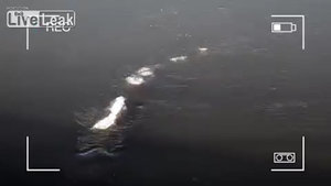 Snimljen neobičan prizor na Aljasci: Šta plovi u rijeci Čena?