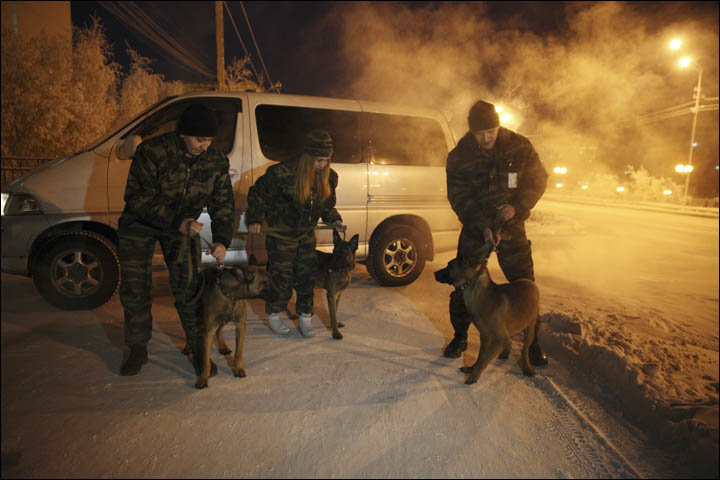 Južnokorejski znanstvenik darovao 3 klonirana psa Rusiji, zadatak im je da nanjuše eksploziv i drogu