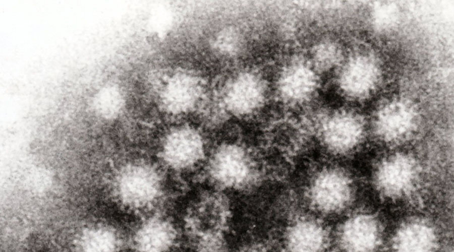 Virus u osnovnoj školi u Engleskoj zarazio 169 osoba