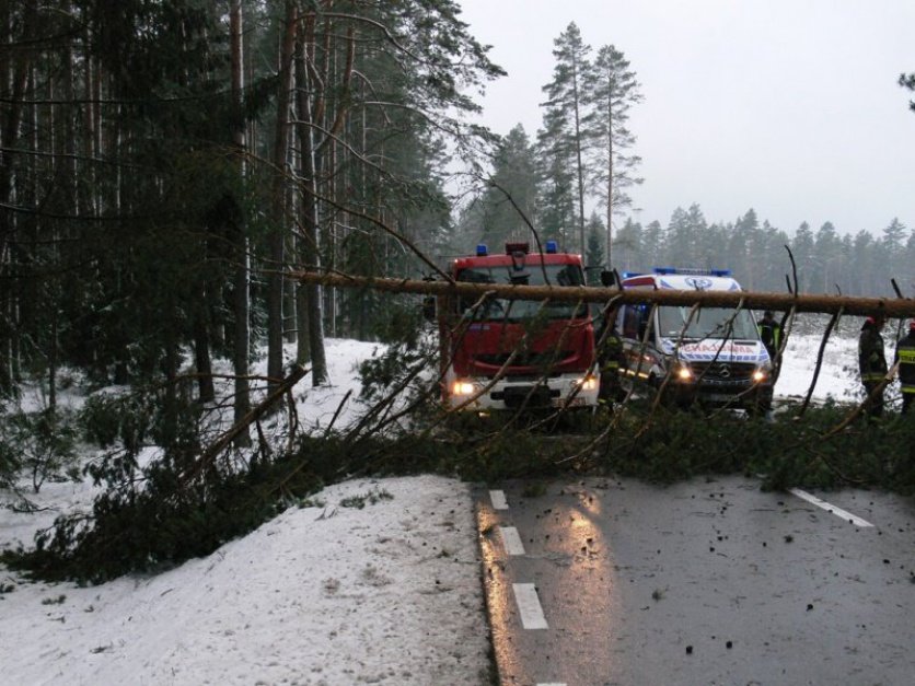 Snježna oluja u Poljskoj: 2 osobe umrle od smrzavanja, 180.000 domaćinstava bez struje