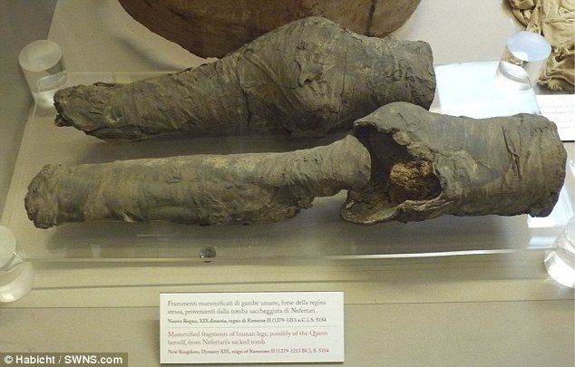 Da li su to noge kraljice Nefertari?: Misteriozna mumificirana koljena mogla bi pripadati ženi Ramzesa II