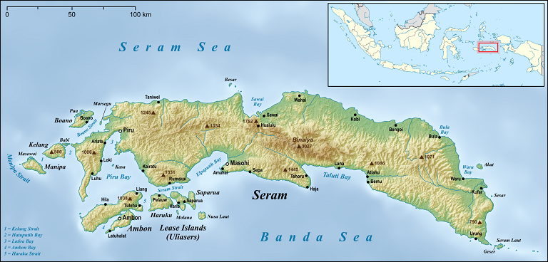 Indonezija: Zemljotres magnitude 5,3 pogodio obalu u blizini ostrva Seram