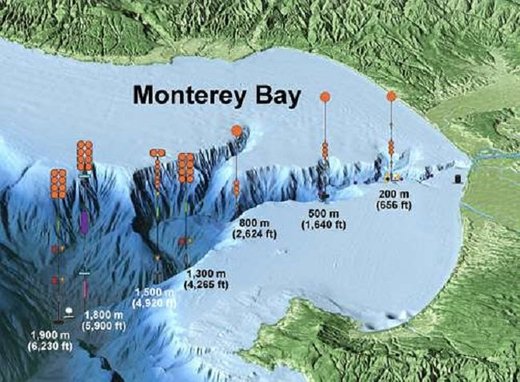 Kalifornija: Snimljena gigantska podvodna lavina kraj kanjona Monterey