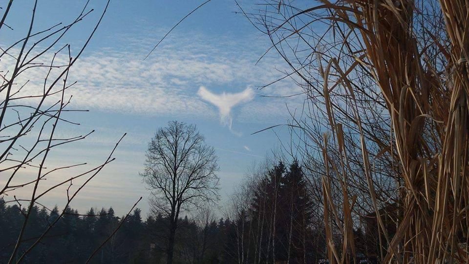 Čudan oblak koji liči na pticu formirao se iznad Poljske