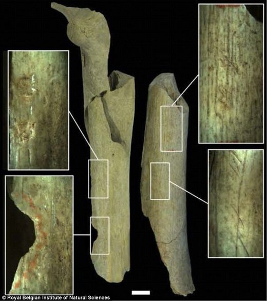 U belgijskim špiljama pronađeni dokazi da su neandertalci bili kanibali