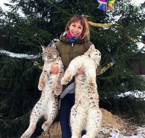 Cats