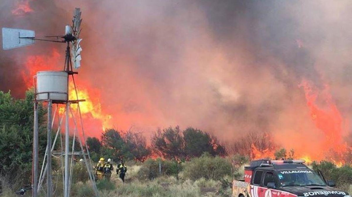Požar, koji je izazvao udar groma, uništio je milion hektara argentinskim pampasa, nastradao je veliki broj divljih i domaćih životinja
