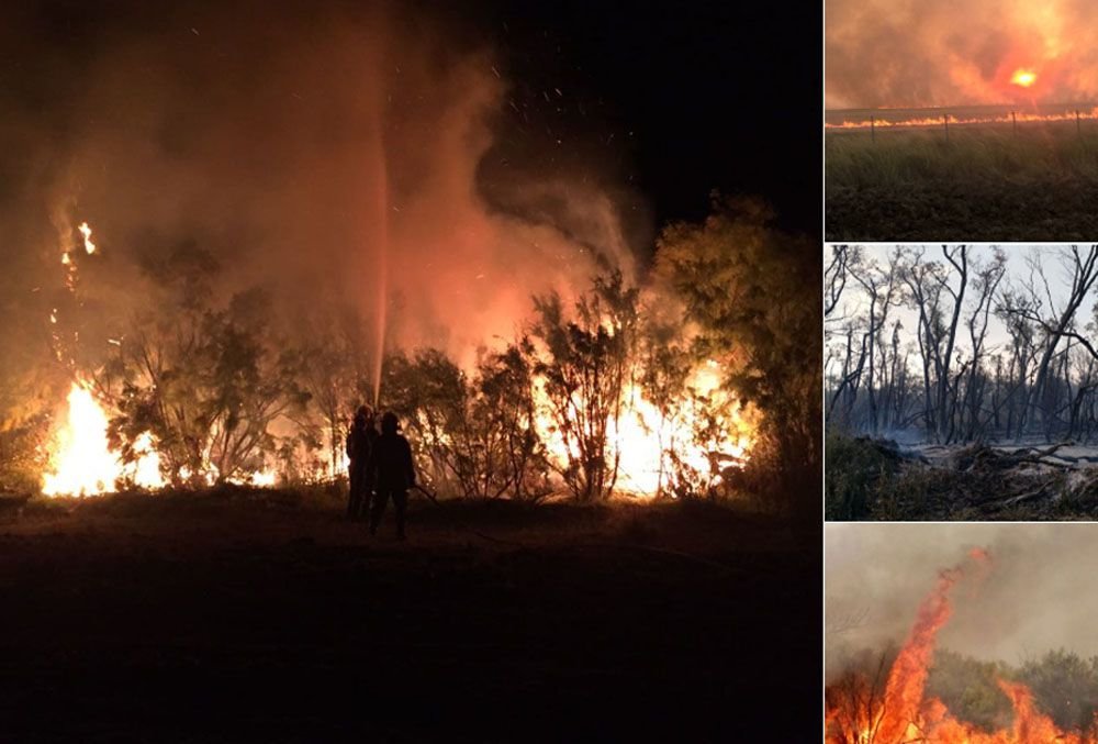 Požar, koji je izazvao udar groma, uništio je milion hektara argentinskim pampasa, nastradao je veliki broj divljih i domaćih životinja