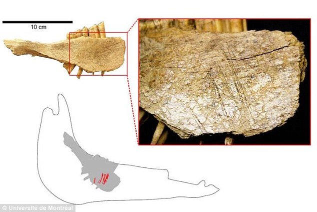 Arheološki nalaz iz Jukona dokazuje postojanje čovjeka u S. Americi 10.000 godina ranije nego se očekivalo