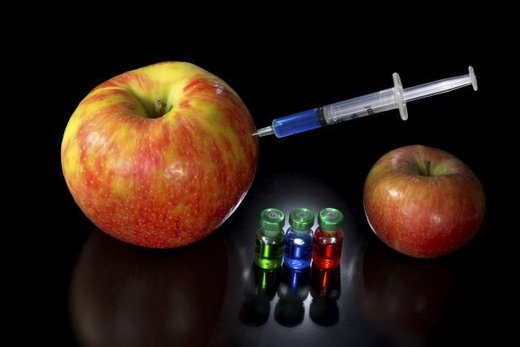 Nova sorta GMO jabuka može izazvati elergijske reakcije i nastanak novih bolesti