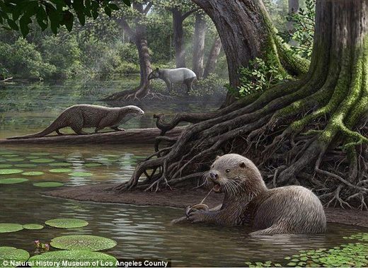 U Kini otkriven fosil vidre, veličine vuka, star 6 milijuna godina