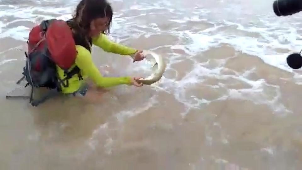 Neuspio selfi: Žena zaradila 4 kopče na ruci i veliku novčanu kaznu kada je iz mora izvadila bebu morskog psa
