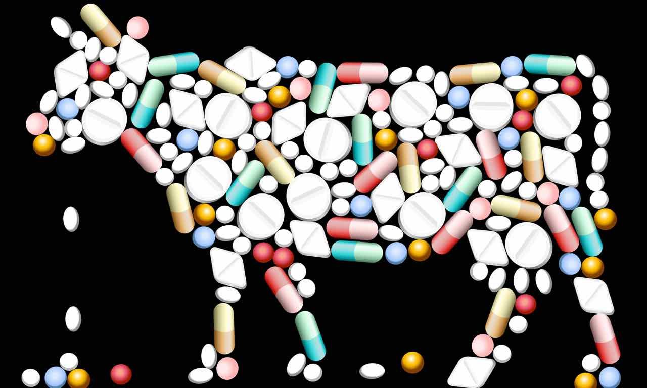 Proizvođači mesa koriste antibiotike na farmama, jedan od glavnih razloga razvoja otpornosti bakterija na antibiotike