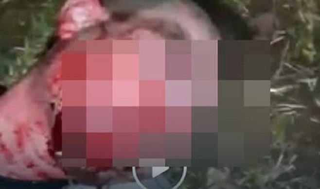 Slovenija: Brutalno mučili mladića i snimak objavili na Facebooku
