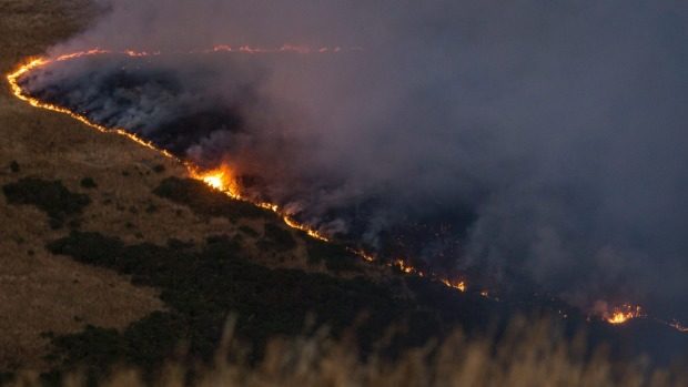 Novi Zeland: Šumski požari prisilili na evakuaciju stotine ljudi