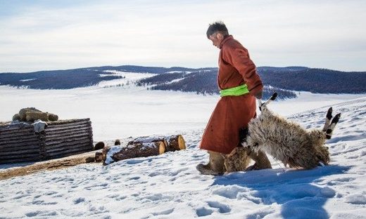 Ekstremna zima u Mongoliji ubila 42.500 životinja, desetine hiljada nomada ugroženo