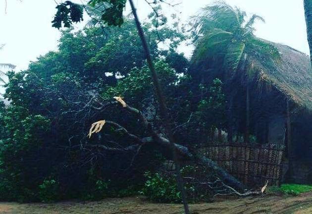 Tropski ciklon Dineo pogodio Mozambik: 7 osoba poginulo, više hiljada kuća uništeno