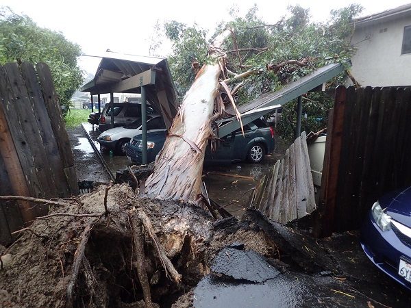 Oluja ubila najmanje 4 osobe u južnoj Kaliforniji