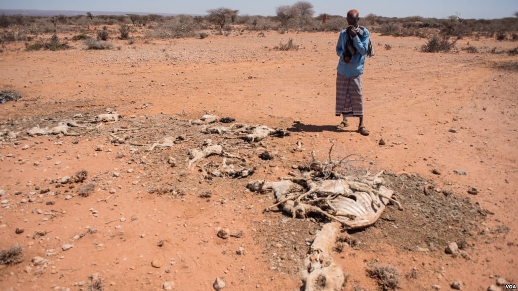 Somalijski predsjednik proglasio nacionalnu katastrofu zbog suše 