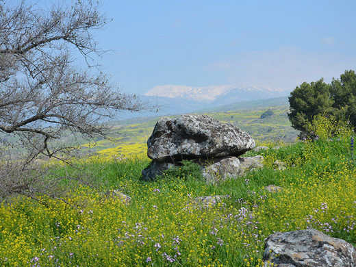 Tajanstveni megalitni dolmen otkriven u Galileji, Izrael