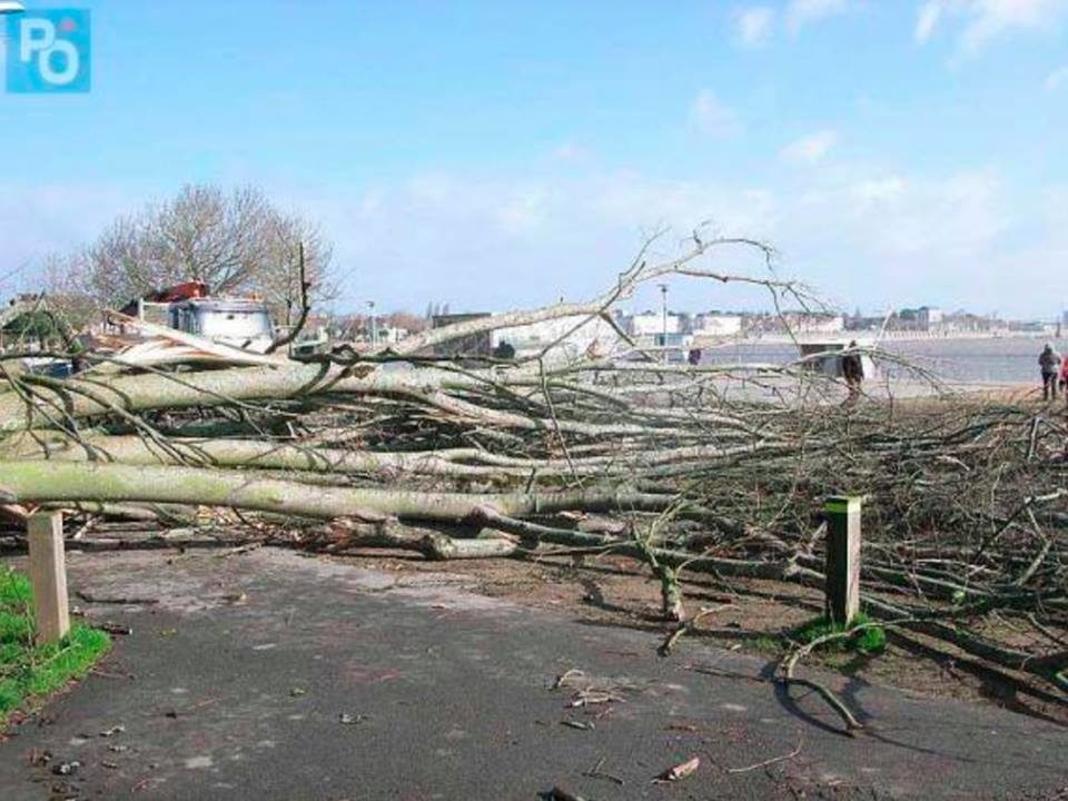 Oluja Zeus Francuska