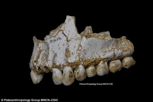 Neandertalci su otkrili antibiotike 50.000 godina prije nas