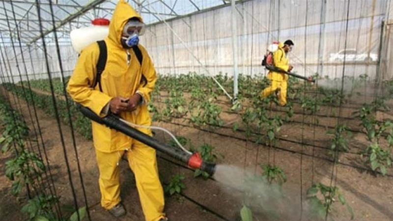 UN: Zbog akutnog trovanja pesticidi odgovorni za smrt 200.000 ljudi godišnje 