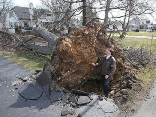 New York: Orkanski vjetar rušio drveće, 200.000 domaćinstava ostalo bez struje