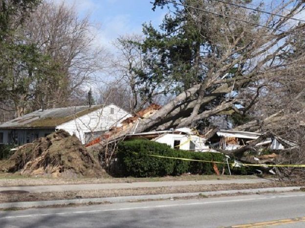 New York: Orkanski vjetar rušio drveće, 200.000 domaćinstava ostalo bez struje